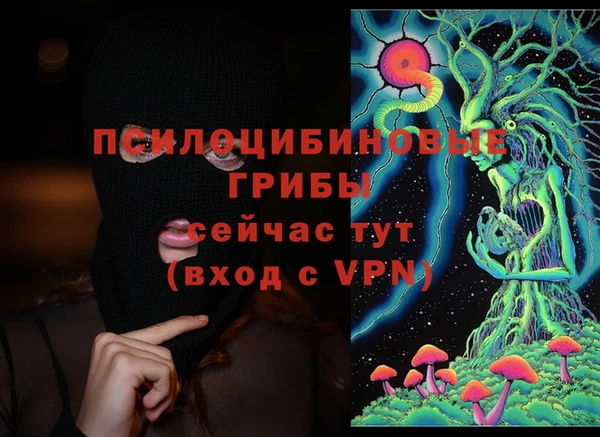 первитин Нея