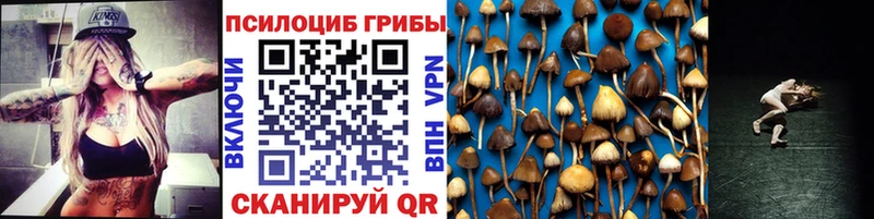 нарко площадка как зайти  Краснообск  Псилоцибиновые грибы GOLDEN TEACHER 